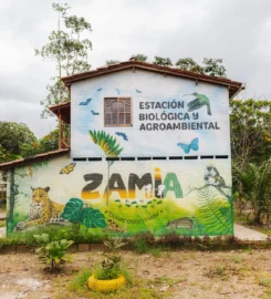 Corporación Agroambiental selva COAGROSELVA